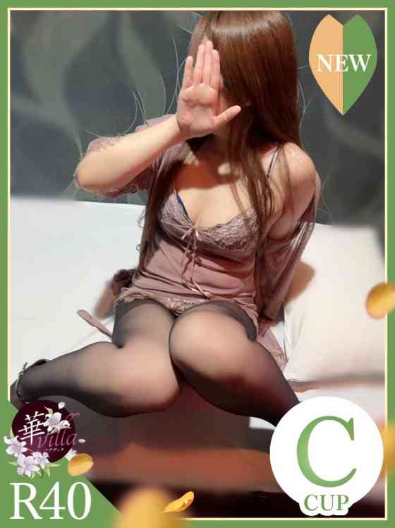 さくらの写真