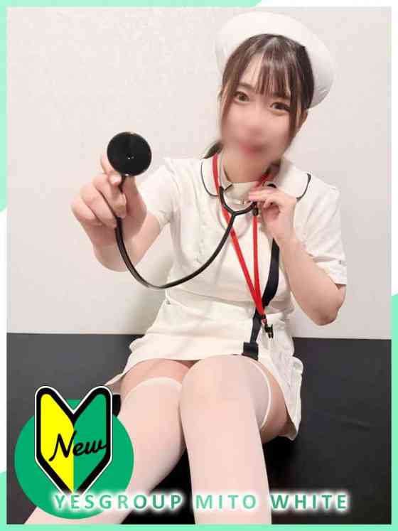 あやめの写真