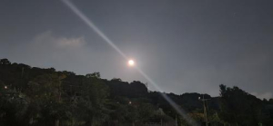 しのぶの写メ日記画像