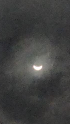 しのぶの写メ日記画像