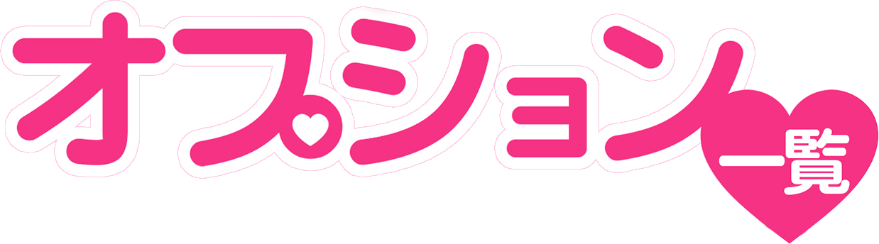 オプション一覧