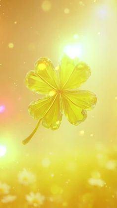 新堂　かりなの写メ日記画像