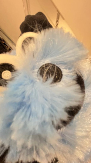 てぴの写メ日記画像