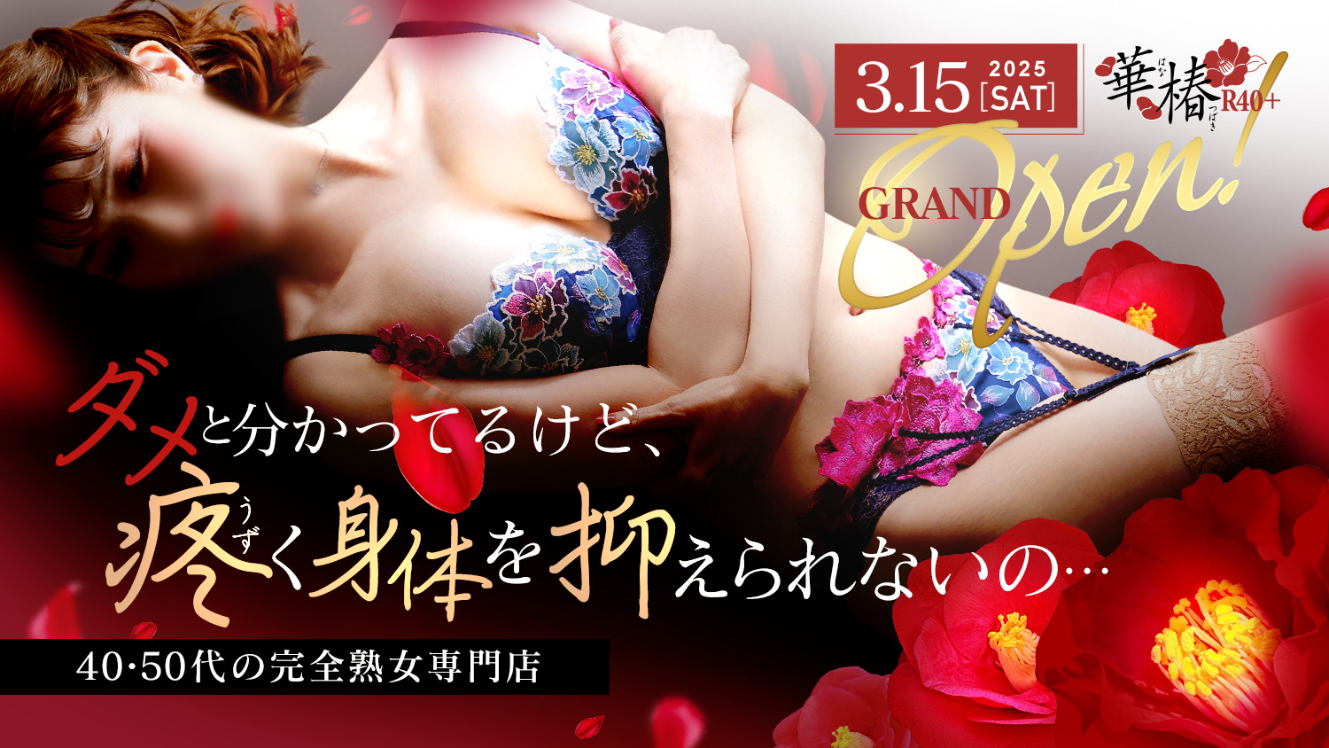 熊本華椿R40+