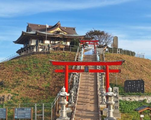 のぞみの写メ日記画像