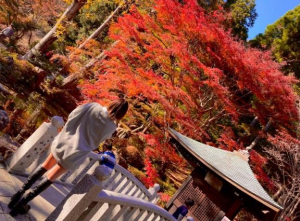 まあみの写メ日記画像